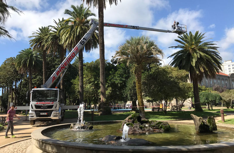 grua movil autopropulsada