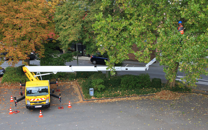 camion cesta arbol