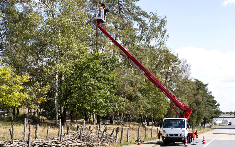camion cesta arboles